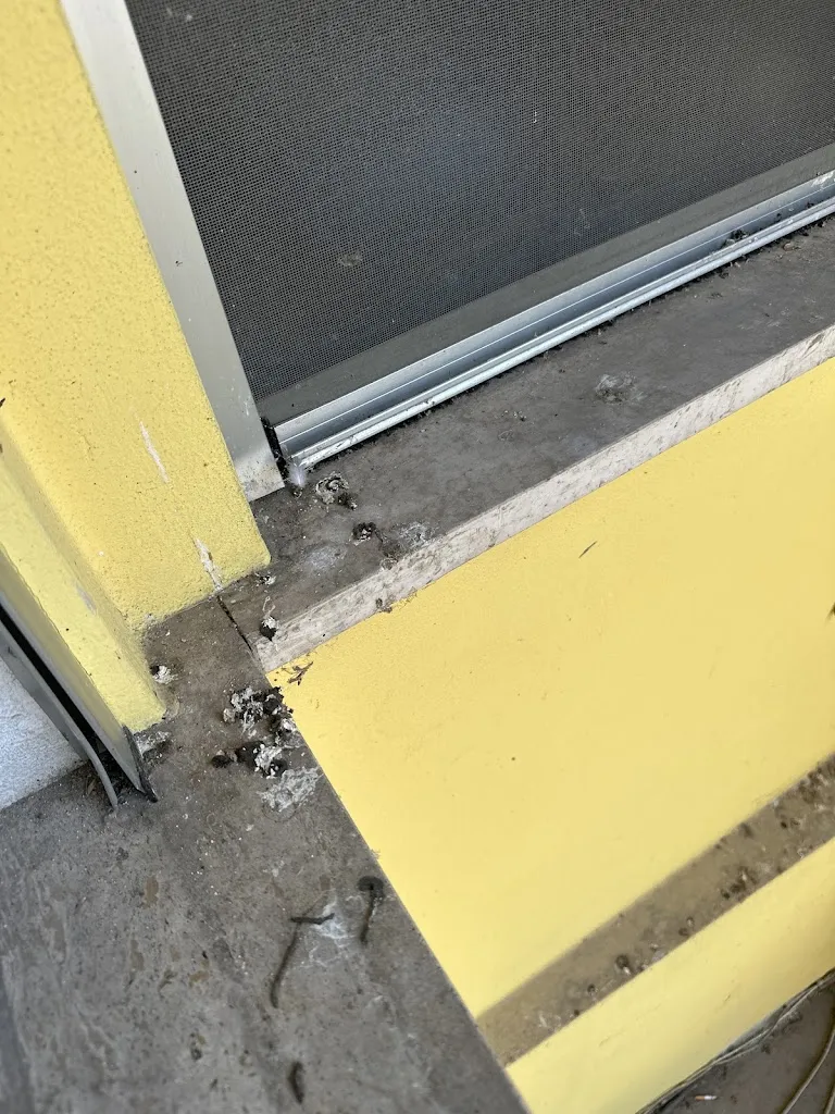 Matilde Meggiorin_Moderno_Trecate_review