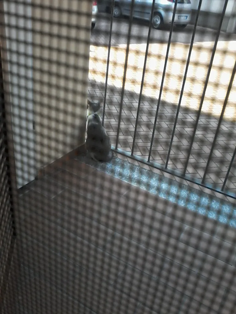 pizzeria las vegas_Trecate_slider_image_1