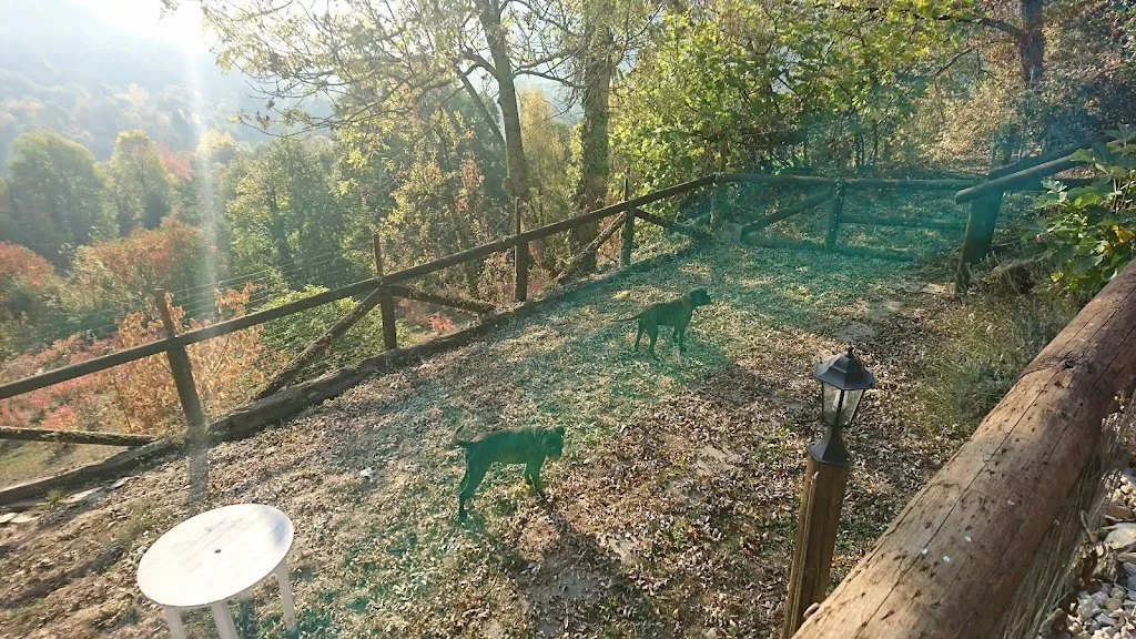 George Ferns_agriturismo le lasarde_Venasca_review