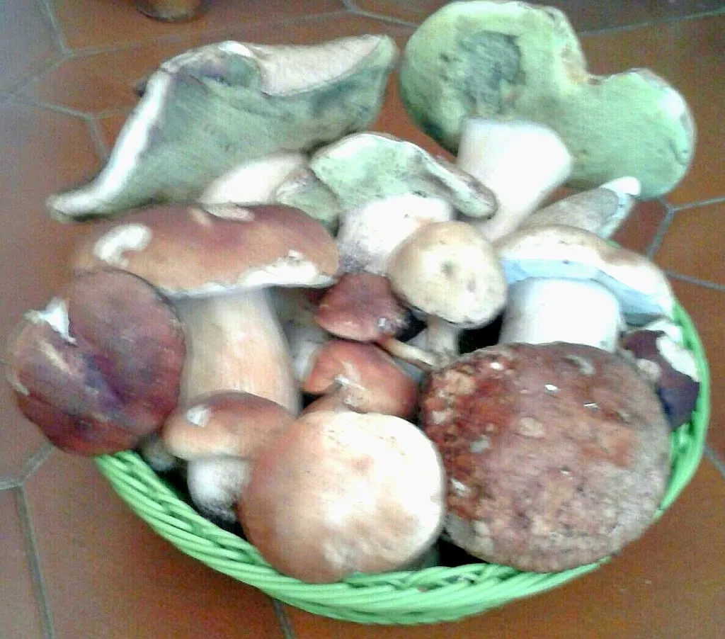 Menu_Hostaria di Bricai_Varallo_image_9