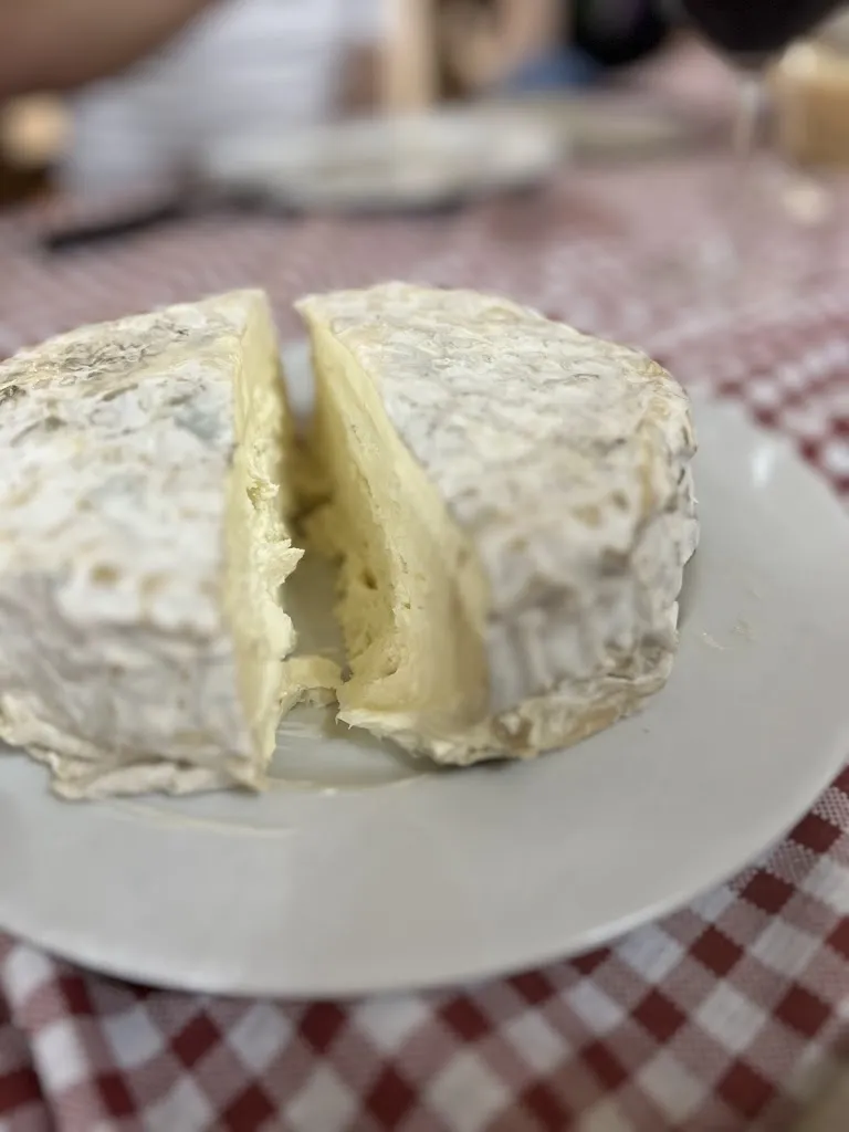 Menu_Osteria Cicconi_Verzuolo_image_4