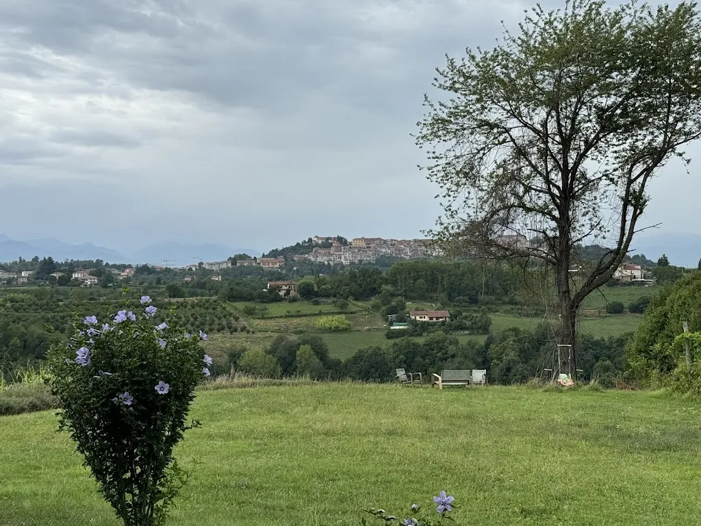 elisa costa_Ristorante La Bocca della Verità_Vicoforte_review