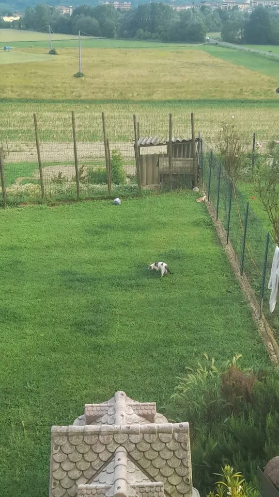 chiara dall'acqua_cascinaborio_Villafranca d'Asti_review