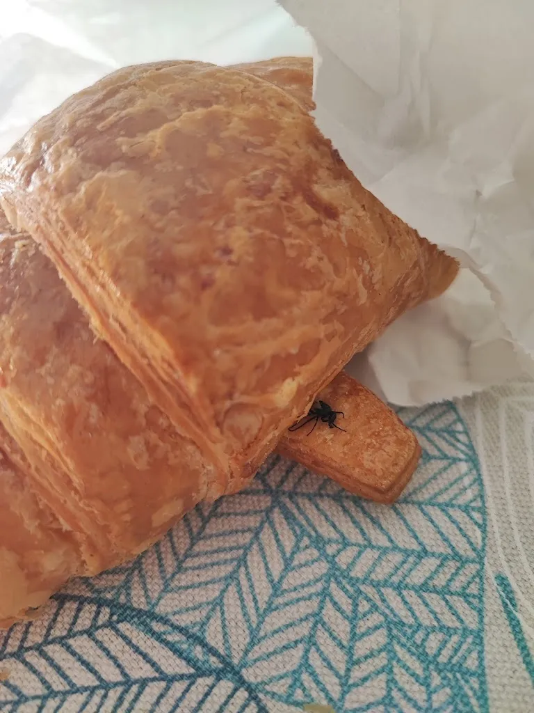 Menu_Massa Micon_Villanova Canavese_image_6