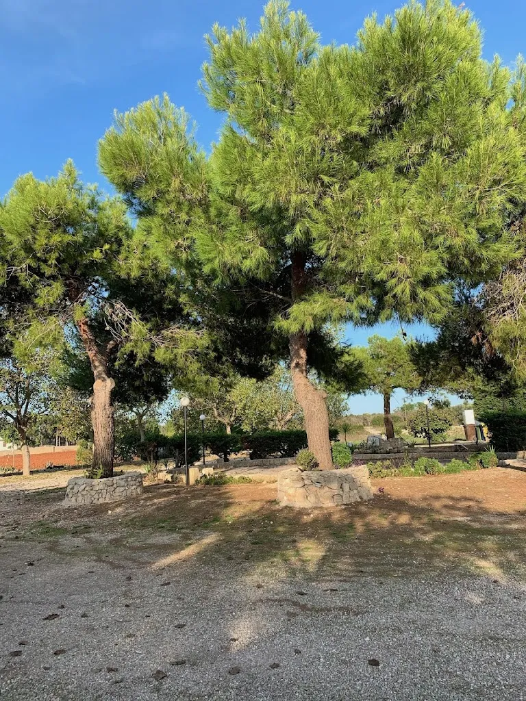 Ed Peterson_Re Sole_Gagliano del Capo_recensione