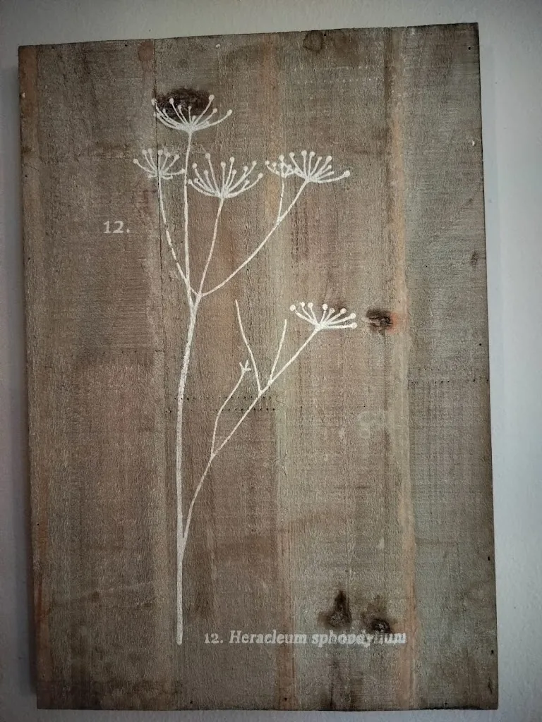 J Bo_La Collina di AuRosa_Volpeglino_review