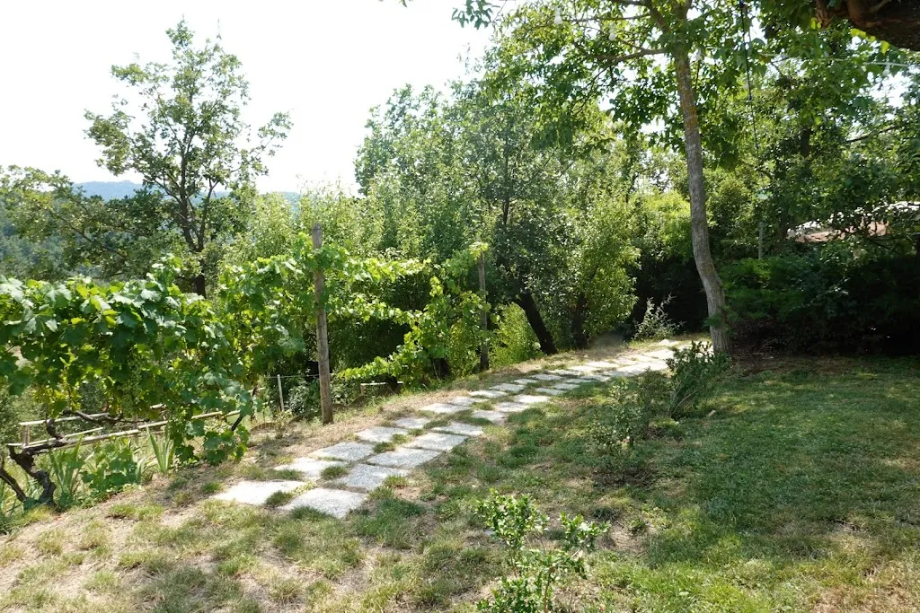 Gabriele Merli_La Collina di AuRosa_Volpeglino_review