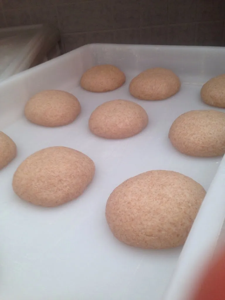 Menu_Ma Che Pizza-Vinovo_Vinovo_image_6