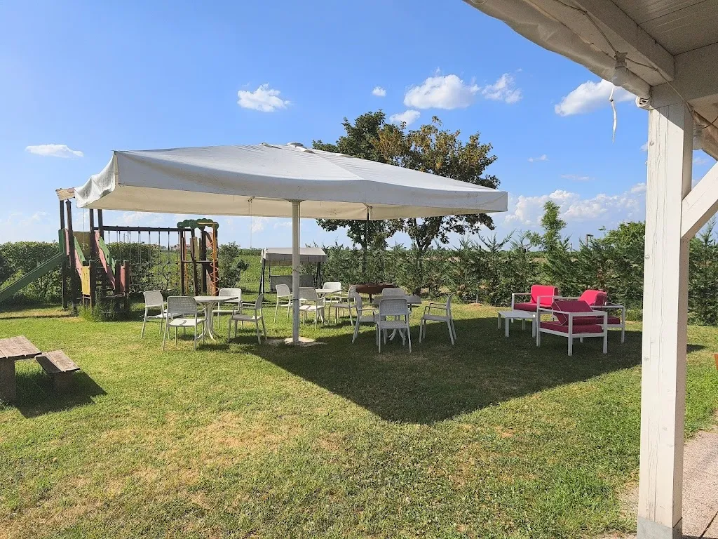 Augusto Lucarelli_Le Spighe Non Solo Piadine_Alfonsine_review