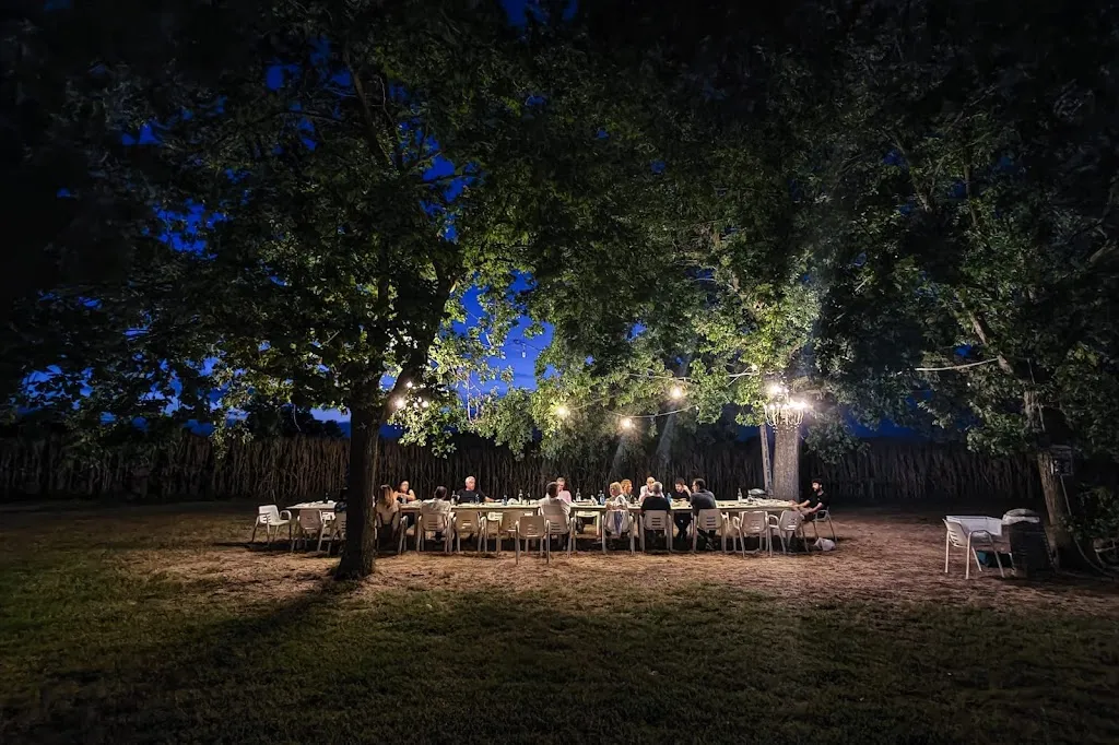 Patrizia Ravagli_Az. Galassi Carlo_Alfonsine_recensione