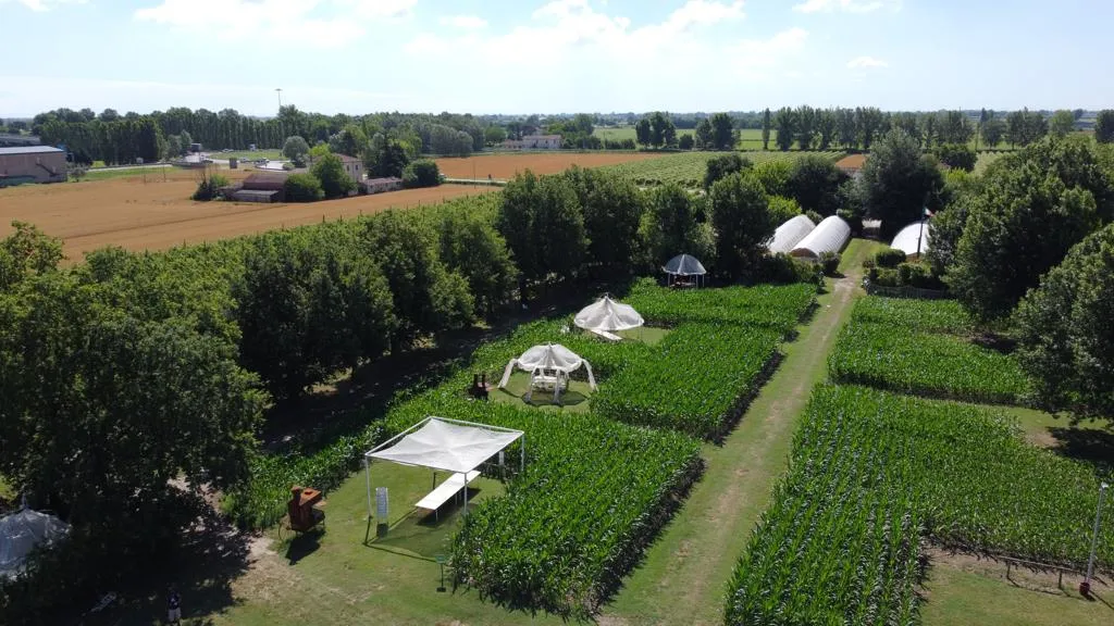 Az. Galassi Carlo restaurant in Alfonsine