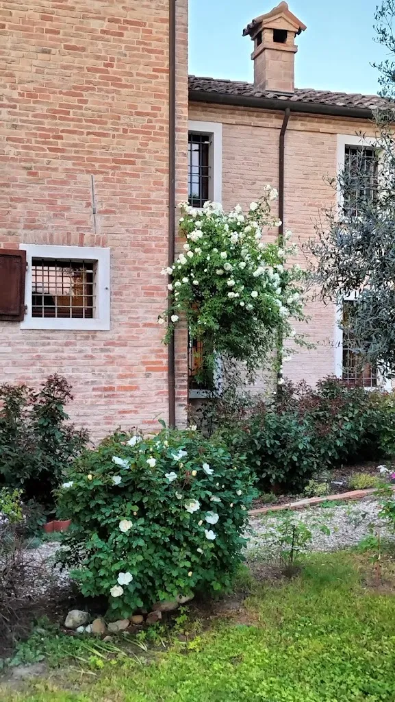 Federica Quercioli_RaFè Home Restaurant_Alfonsine_review