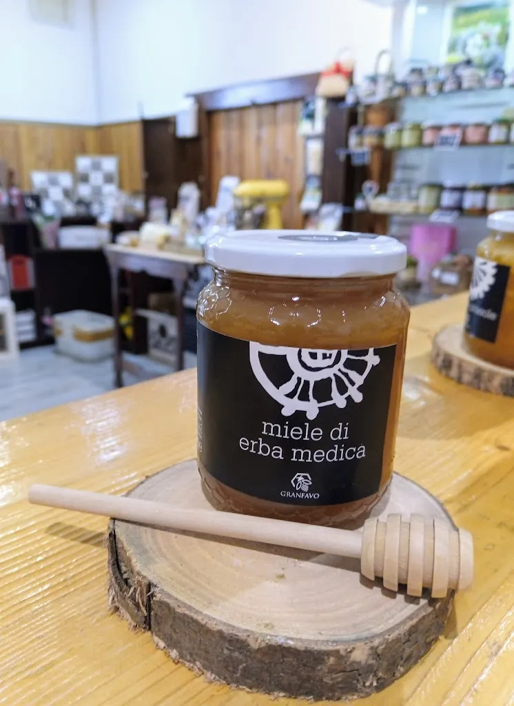 Roxy Bar Bagnacavallo_Bagnacavallo_slider_image_3