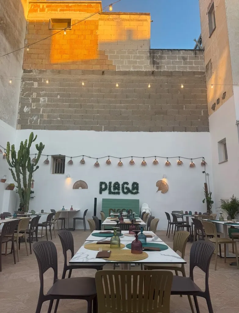 C “大c” R_Plaga_Galatone_review