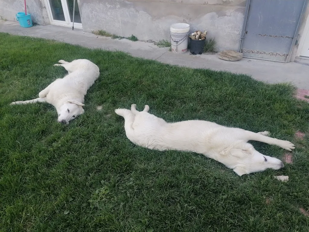 Isabella Labonia_Agriturismo Podere Ortali_Casola Valsenio_recensione