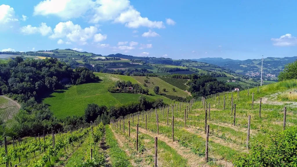 Agriturismo Podere Ortali_Casola Valsenio_slider_image_3