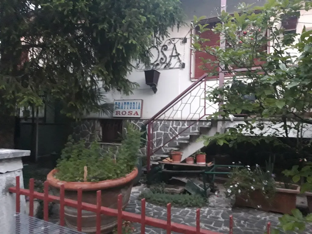 Patrizia Gramigna_Trattoria da Rosa_Cotignola_review