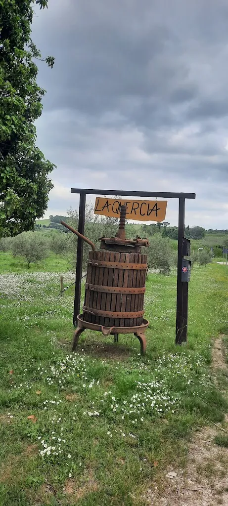 Marco65 Babini65_Azienda Agrituristica La Quercia_Brisighella_review