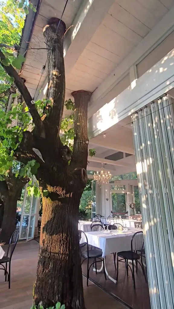 Ristorante '' e manicomi '' da Mario_Brisighella_slider_image_2