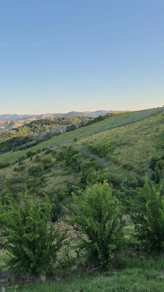 Agriturismo Oasi_Brisighella_slider_image_2