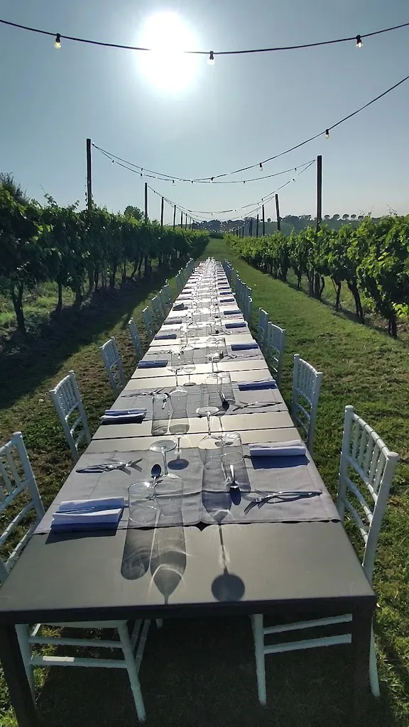 Podere La Berta_Brisighella_slider_image_2