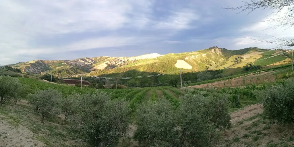 BR Riolo_Torre del Marino_Brisighella_review