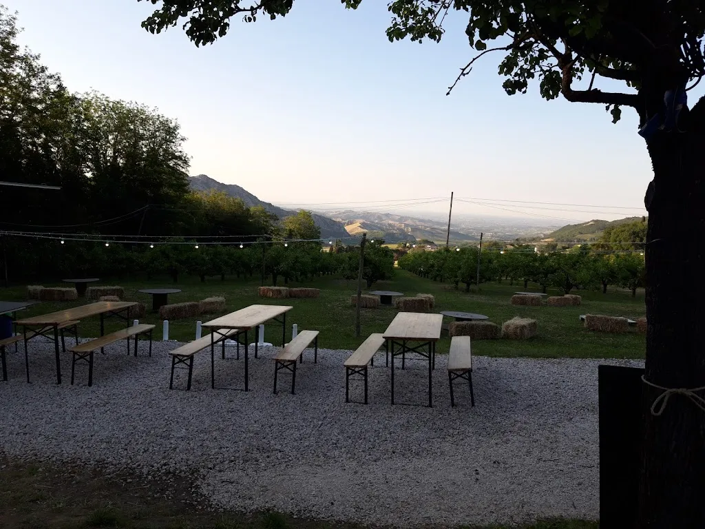 Patrizia Gramigna_Matilde del Monticino street food Ristorante In_Formale_Brisighella_review