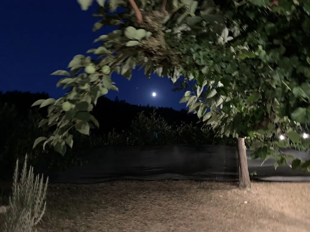 Andrea Verlicchi_Matilde del Monticino street food Ristorante In_Formale_Brisighella_review