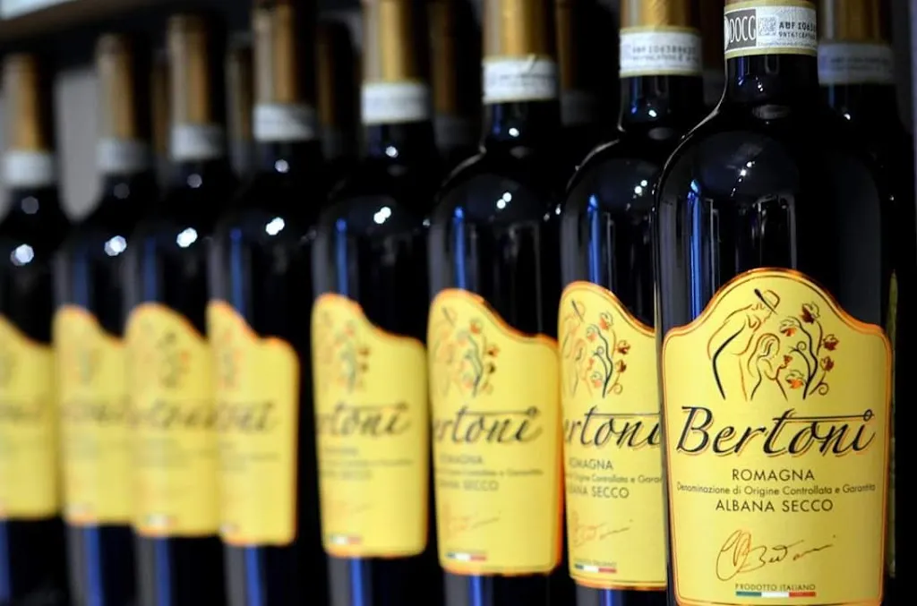 Menu_Bertoni Bottega e Cucina_Castel Bolognese_image_8