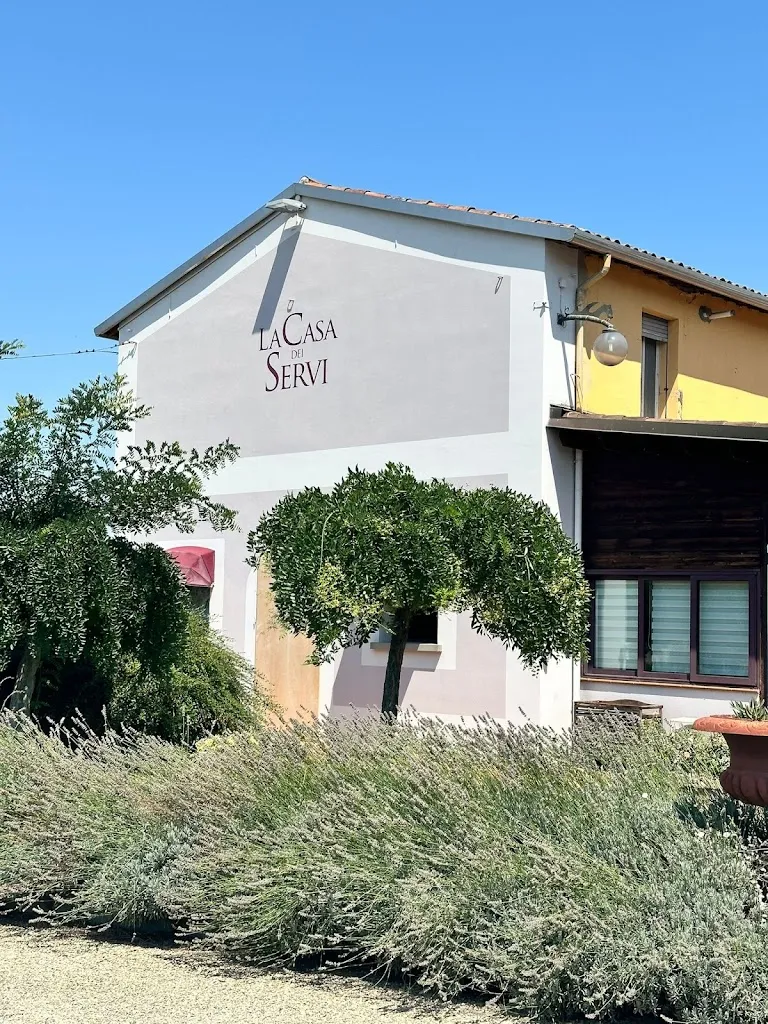 Luciano Di Prisco_La Casa dei Servi_Castel Bolognese_review