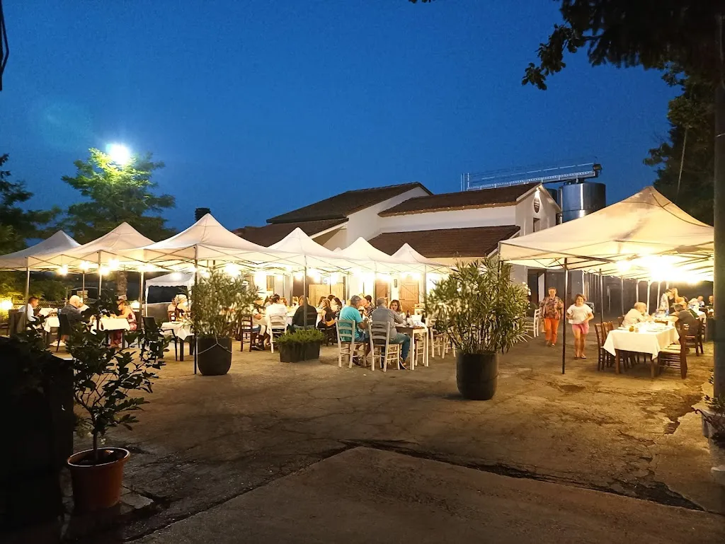 La Casetta Az. Agr. - Winery & Restaurant - Cantina e Agriturismo_Castel Bolognese_slider_image_3