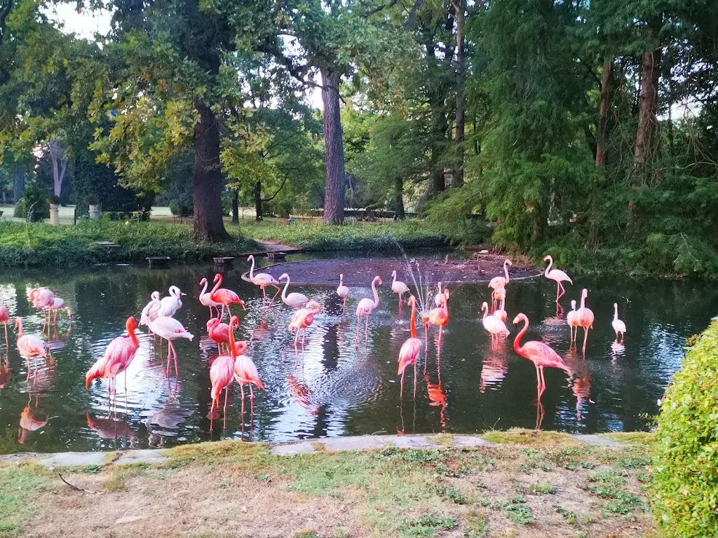 Marilena Rosetti_Il Fenicottero Rosa Gourmet_Faenza_review