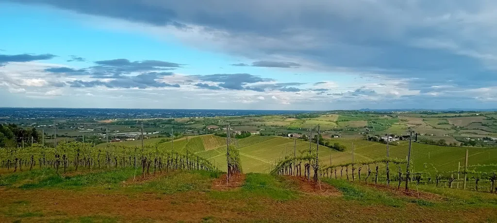 Stefano Bon_Farmhouse la Querciola Riolo Terme _Riolo Terme_recensione