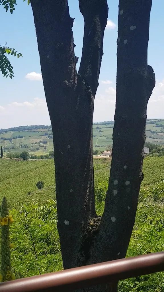 Farmhouse la Querciola Riolo Terme _Riolo Terme_slider_image_2