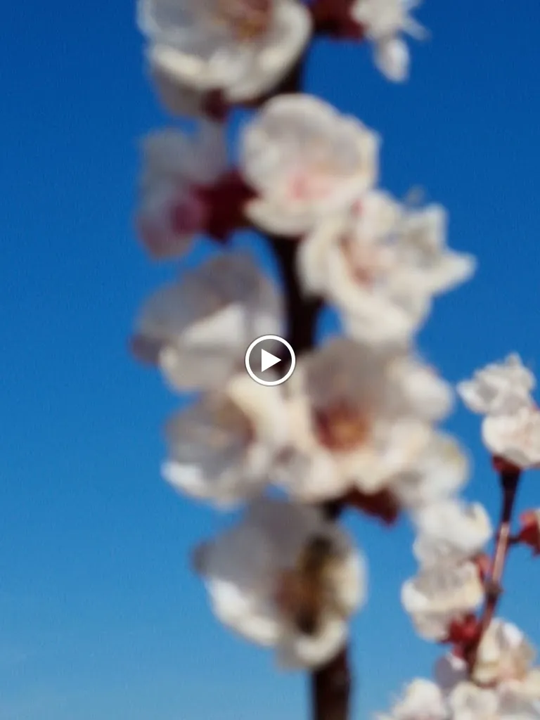 Agriturismo Vignoli_Riolo Terme_slider_image_2