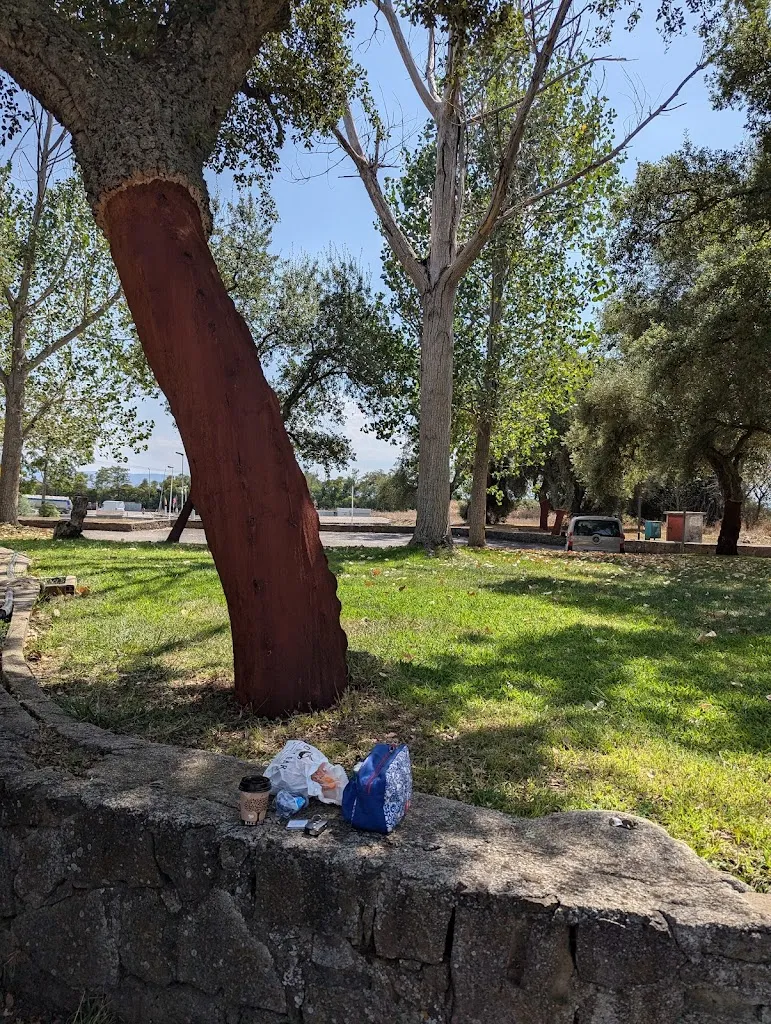 Neda Topoljanac_Oasi Losa Lato Ovest_Abbasanta_review