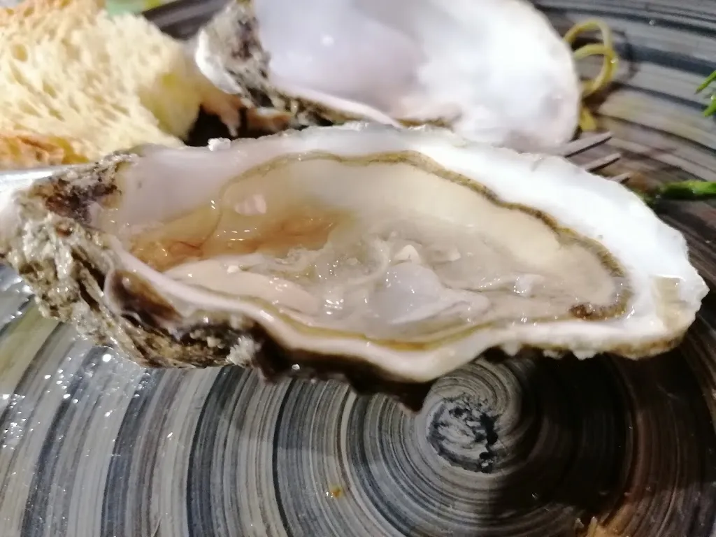 Menu_Sas Mendulas di Raimondo Marchi_Abbasanta_immagine_2