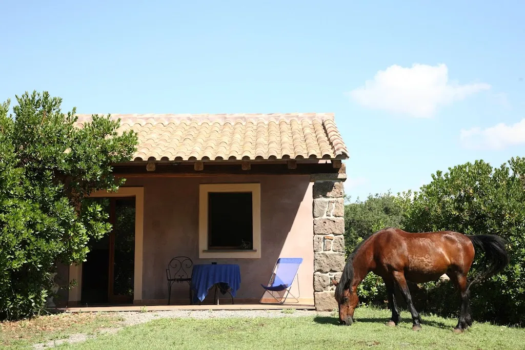 Country Hotel Mandra Edera restaurant in Abbasanta