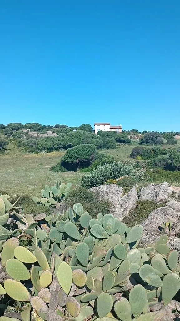 Natalia W_Agriturismo Nuraghe Tuttusoni_Aglientu_review