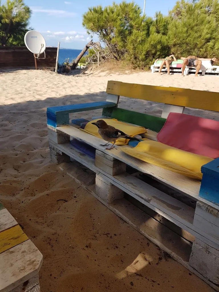 Alessio Rosi_Chiringuito Jacabaca_Aglientu_review