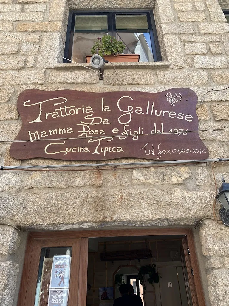 Marcos Gallego Llorente_La Gallurese_Aggius_review