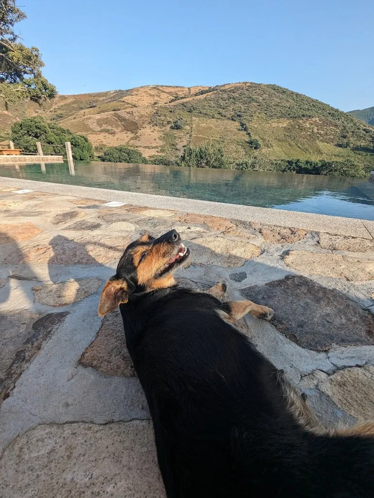 Laura M_Stazzu Coiga_Aggius_review