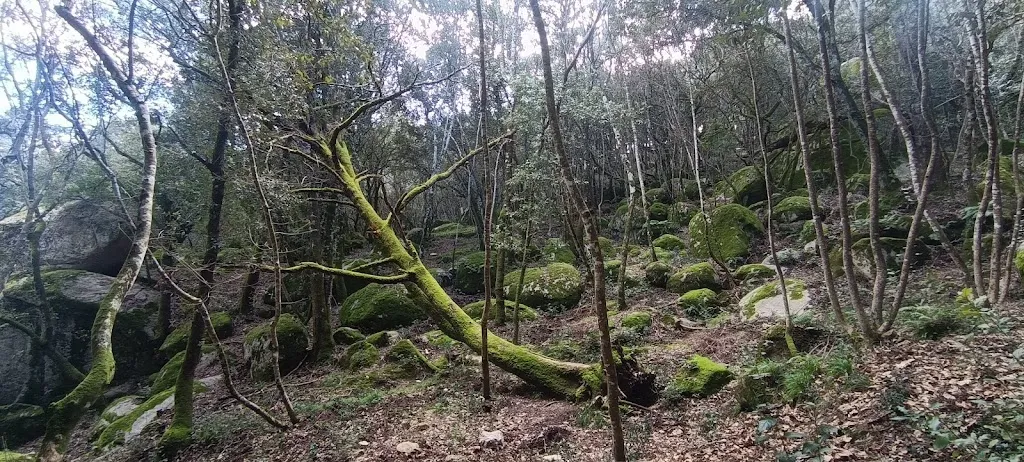 Daniela Dettori_Visit Aggius_Aggius_recensione