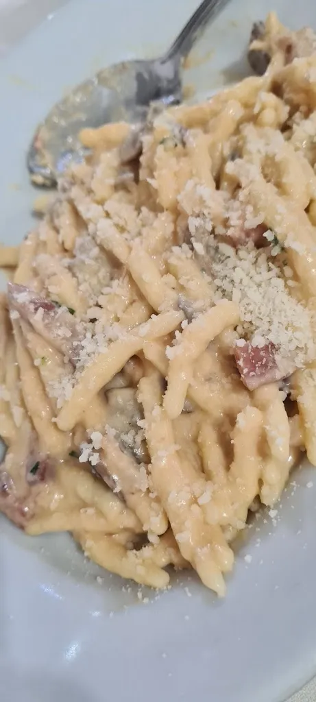 Mattia Fanti_Il Gatto Sardo_Albagiara_review