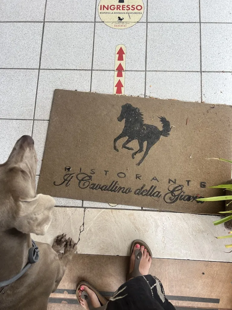 Ella W_Cavallino della Giara_Albagiara_recensione