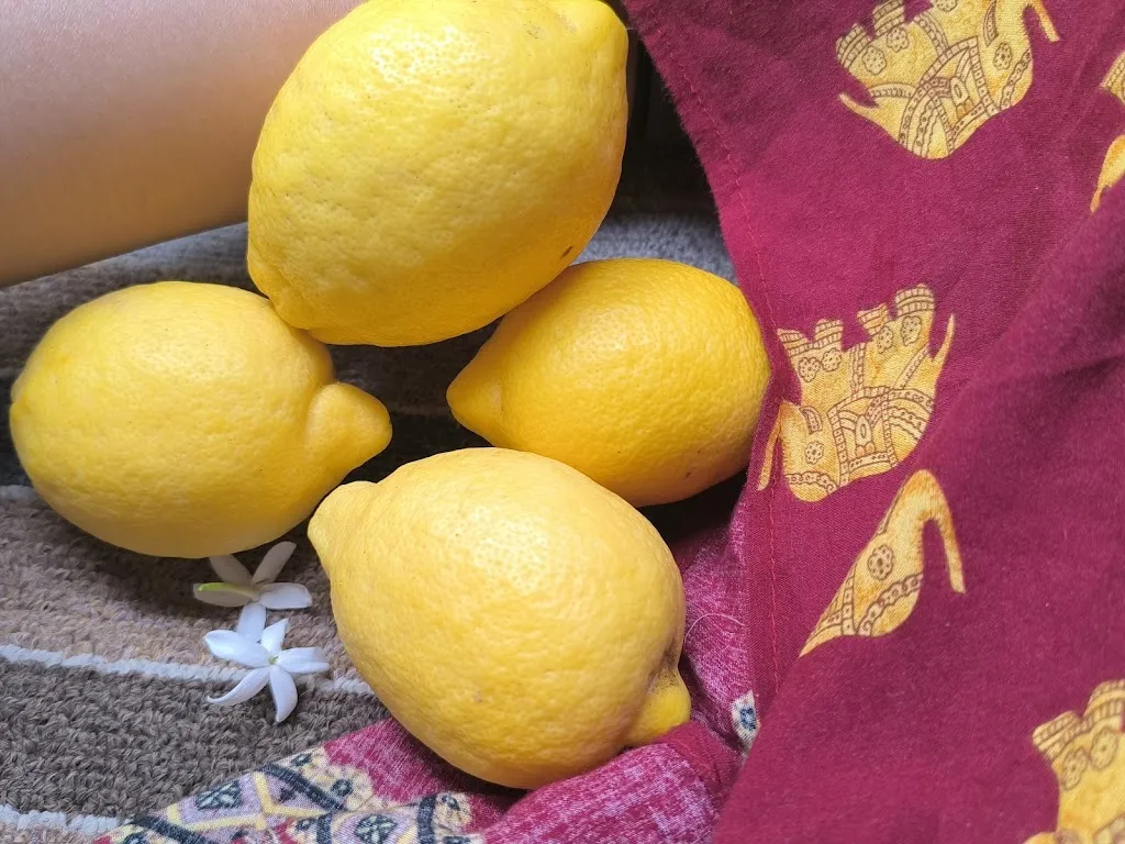 Meriem Dhahak_DANIEL CAFFE_Albagiara_review