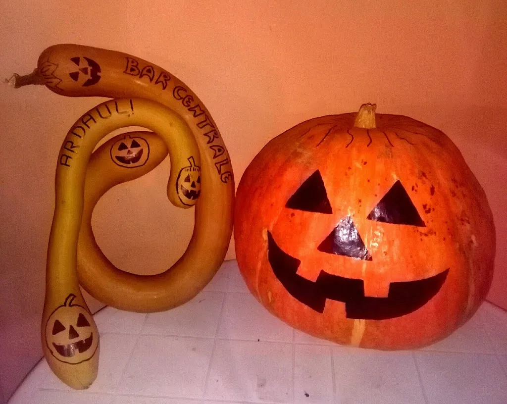 Menu_Bar centrale da Billore_Ardauli_image_5