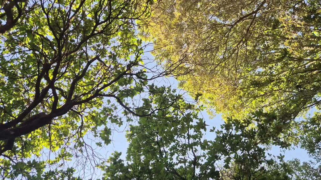 Paola Carta_Agriturismo su Niu de S'Achili_Armungia_review