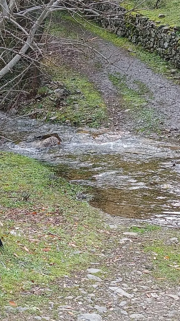 Maria Irene Cabras_Agriturismo su Niu de S'Achili_Armungia_review