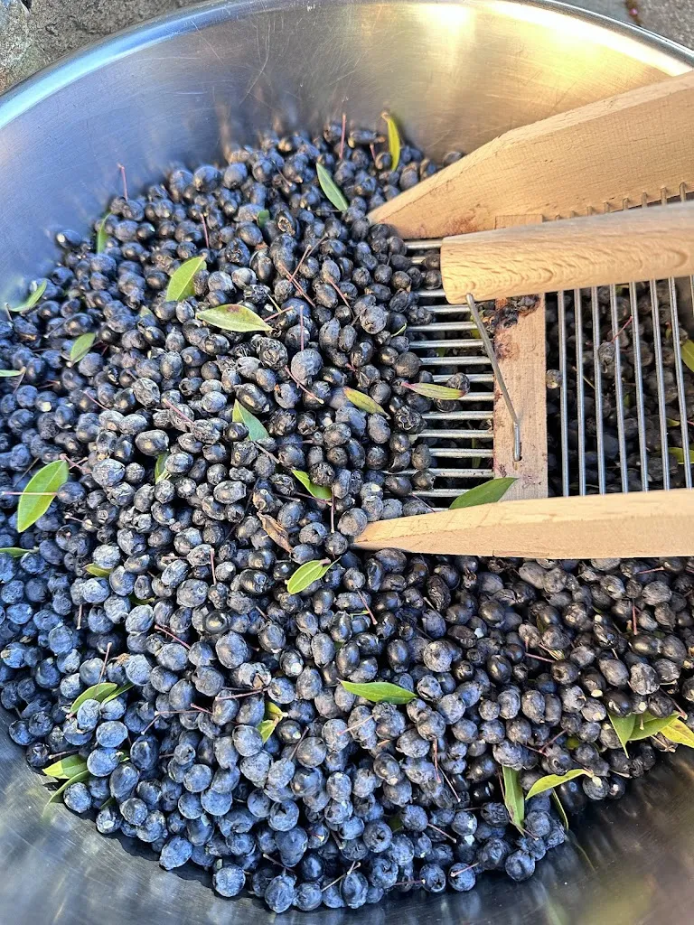 Menu_Miramonti ristorante_Aritzo_image_7